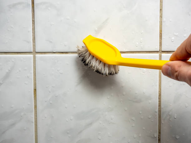 Best Bathroom Mold Remediation in Harlan, KY